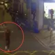 影/搭訕婦人誆「妳500元掉了」 板橋男趁隙搶奪秒遭逮