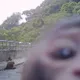獼猴變「檢舉達人」!陽明山餵猴現場遭牠神角度拍下 違規民眾恐挨罰