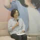 蔡英文「論文門」涉偽造文書!彭文正自訴不受理確定