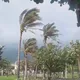8級強陣風殺到 12縣市強風特報颳到明晚