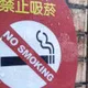 台灣「禁菸令」有譜?網:一包賣500元以上效果更好