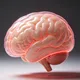 健檢報告驚見「腦萎縮」別慌!醫揭真相:不等於失智
