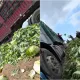 甲醛大白菜恐致癌 5類黑心食材煮熟也沒用