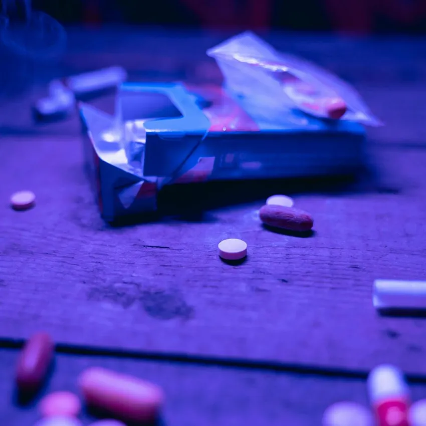 過年換裝藏身聚會!「喵喵」連續7年檢出最多 嚴重恐致死