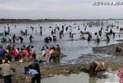 長江大旱漁翁得利？安徽湖泊水位驟降上千人趁機撈魚引塞車