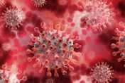 流感來襲！疾管署曝下月起擴大流感抗病毒藥物公費對象