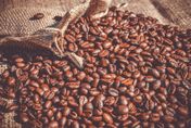 台灣輸陸食品增咖啡豆、飲料　減油料、穀物11件