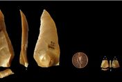 法洞穴挖到驚人證據！研判智人5.4萬年前已用弓箭　改寫歐洲最早紀錄