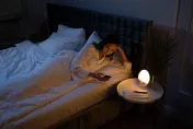 晚上熱到睡不著？丹麥研究：氣溫愈高睡愈少 醫曝原因