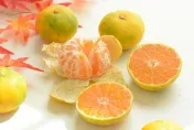 柑橘含豐富維生素C、膳食纖維！ 營養師：糖尿病患者當心4點　避免血糖飆高