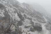 影/美呆了！嘉明湖也下雪　-6°C霧淞結晶覆蓋滿山頭