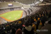 讀賣巨人來台/改寫台灣棒球賽單場觀眾紀錄！3萬7890人擠滿台北大巨蛋