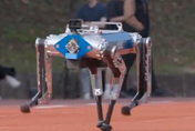爬坡也難不倒它！「地表最速機器狗」19.87秒跑完100米創世界紀錄