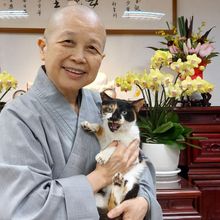 綠委喊話在野　同意拒領的普發現金1萬設專戶