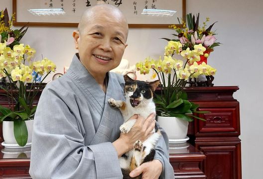 綠委喊話在野　同意拒領的普發現金1萬設專戶