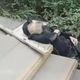 爺爺接孫下課回家　被社區「從天而降」木棍砸中身亡...兇手年僅8歲