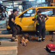 影/忘拉手煞車倒退嚕！東港運將肉身阻擋　遭捲車底亡