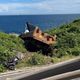 濱海公路蝙蝠洞「砂石車撞轎車」衝破護欄1死1傷　車頭不見