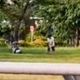 影/高捷大寮站旁驚見男「揮打高爾夫！」路人險遭擊中