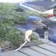 影/八里莽男揮開山刀恐嚇前雇主　逃南投拒捕砍傷員警