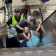 看護推輪椅搭北捷手扶梯翻車「害2人慘摔」　家屬喊告