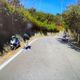 苗栗野貓突襲！騎士閃避不及陷水溝　暖警相救還載去修車