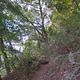 苗栗山友攀東卯山失聯47天　尋獲已成冰冷遺體
