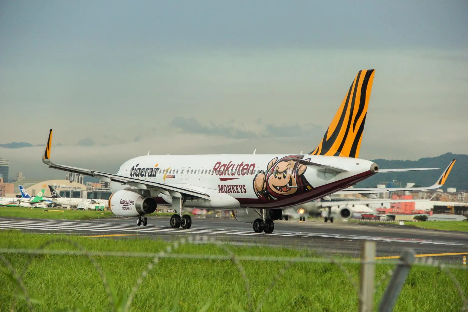 虎航前3季每股盈餘4.28元 看好第4季旅遊旺季表現