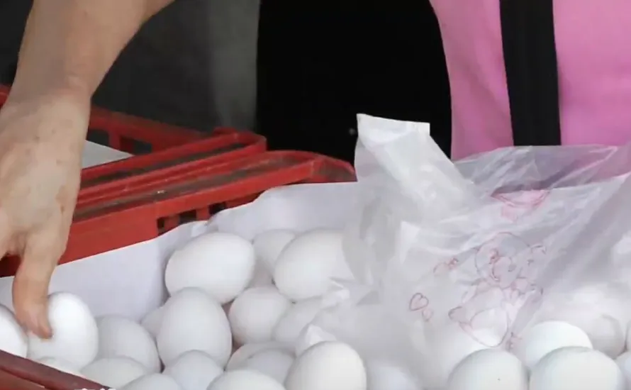 春捲患者檢出沙門氏菌　醫示警：雞蛋清潔加熱要完全