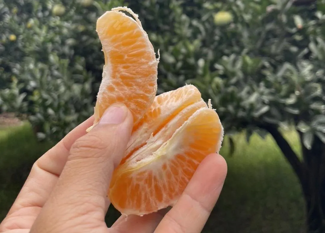 大苑子沒買石虎柳丁風波!生多所曝:加入友善農作超難