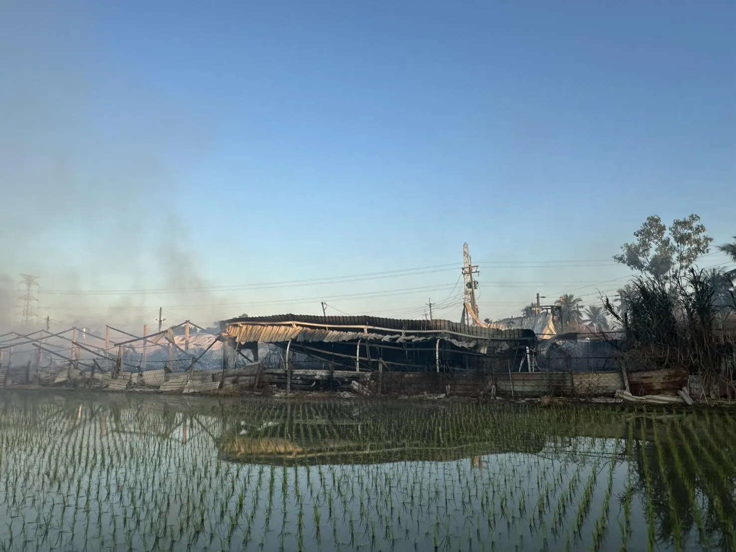 疑取暖不慎!高雄鴨寮燒光 200隻飛禽慘成燒鵝燒鴨