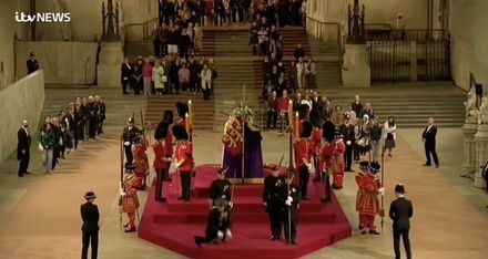 英國女王靈柩開放瞻仰人龍綿延4.8公里 西敏廳守靈衛兵一度昏倒重摔