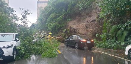 基隆大雨釀災！樹倒、土石崩落　壓毀多輛汽車