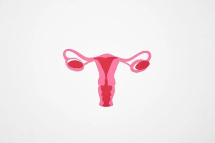 女性的困擾「多囊性卵巢症候群」醫：還是可以懷孕的