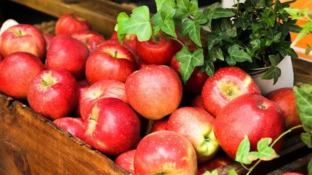 一天一蘋果好處多多！蘋果7大好處　防癌、護心都靠它