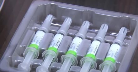 衛福部延長高端疫苗EUA　媒體人：一百萬高端仔成為白老鼠