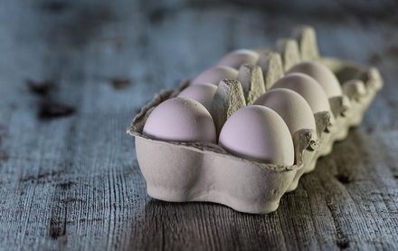 上周增20萬雞「產量仍不足」！蛋商公會：蛋價批發價49元「暫無調降空間」