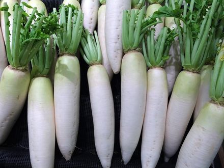 市售白蘿蔔近3成農藥超標　台南市農會超市11件有殘留