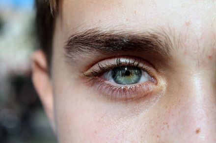 2050年美國失明人口恐逾9百萬人　台眼科醫師提角膜治療新策略登外媒