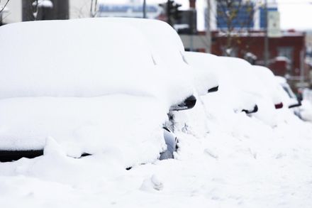 紐約西部暴風雪肆虐2人喪生　氣象專家示警：最糟情況還沒來