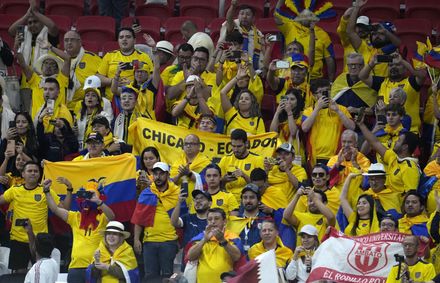 世足賽/「有錢也沒用！」厄瓜多球迷比出這手勢　卡達粉絲氣又笑