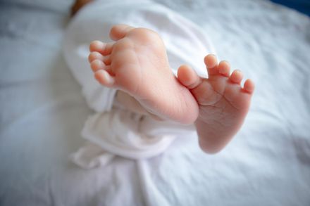 擴大試管嬰兒補助！助1.4萬對不孕夫妻產1.6萬名寶寶　單胞胎比率達88%