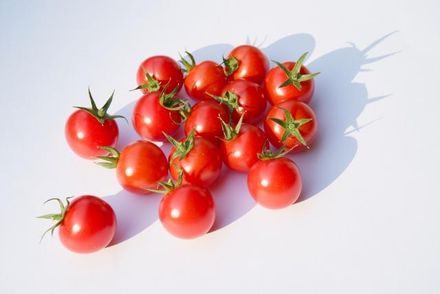甜甜的「小番茄」不僅好吃還健康！醫曝「4大好處」降低致癌率