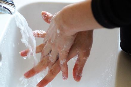 諾羅病毒「75％酒精也殺不死」！重症醫師籲洗手一定要用肥皂