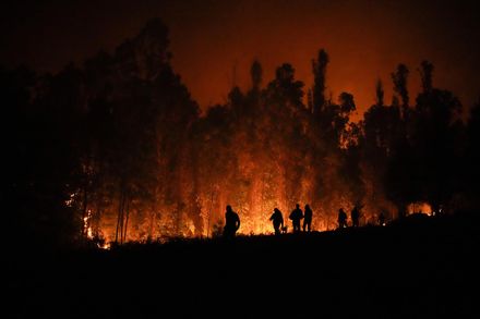 熱浪襲擊！智利頻發森林大火釀22死　全國進入緊急狀態政府四處求援