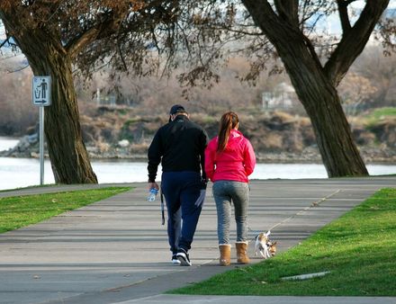 歐最新研究：每天至少走4千步路　能顯著降低死亡風險