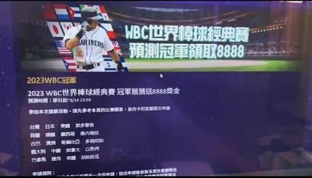 「用新台幣支持台灣」20歲組頭蹭WBC熱度　3個月狂撈數百萬