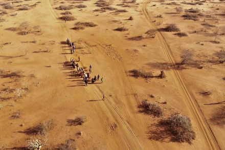 死亡率恐再攀升！索馬利亞持續乾旱釀4萬3千人喪生　半數為5歲以下兒童