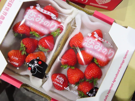 食藥署擬放寬日本草莓農藥殘留標準　媒體人開酸：往後統稱「吾秀莓」