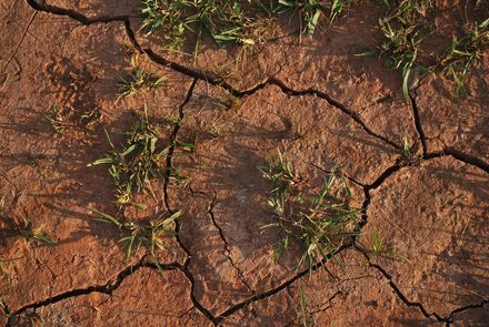 通膨飆破100％！阿根廷乾旱嚴重影響穀物出口　民眾難以度日